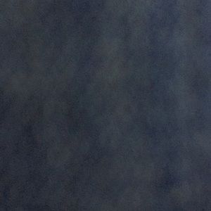 Meet your Posher, Carey